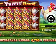 The Tweety House Slot Hari Ini Indonesia